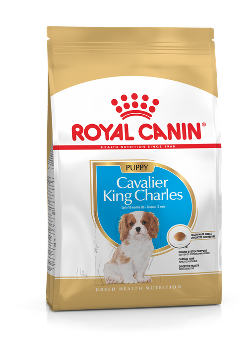 Cavalier King Charles Puppy 1,5kg Royal Canin - Kuivaruoat pennuille ja kasvatukseen - 000834 - 1