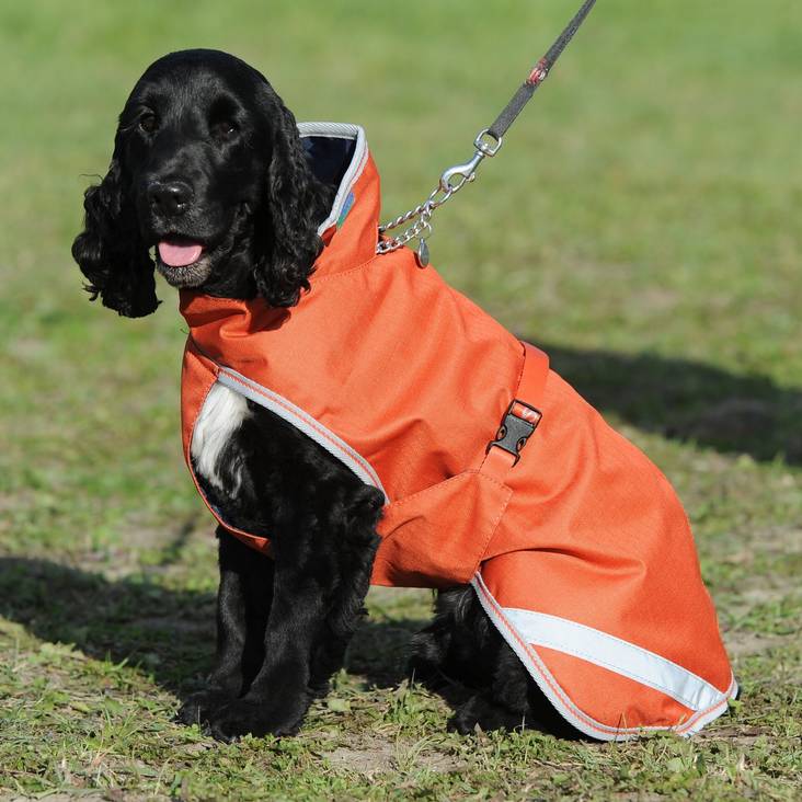 Koiran mantteli 50g Grenadine 30cm Freedom Bucas - Koiran manttelit - 023874 - 2