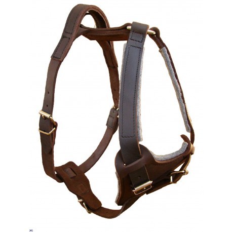 Nahkaiset suojeluvaljaat kahvalla koko 5 JHS - Koiran Y-valjaat - 026854 - 1