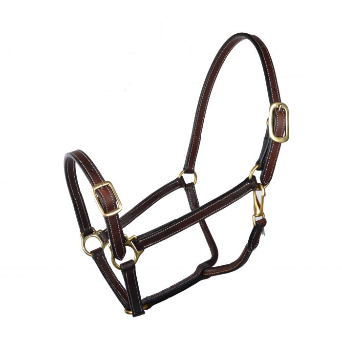 Nahkariimu jenkki 20mm ruskea GP-Tack - Hevosen nylonriimut - 030214 - 1