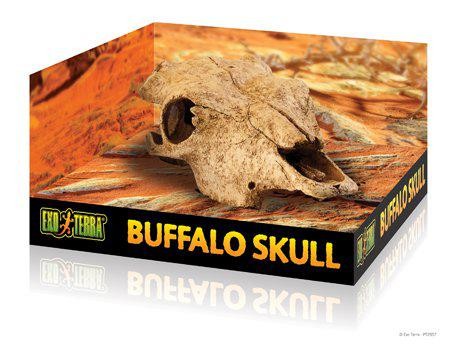 Piilo Buffalo Skull ExoTerra - Terraarion tarvikkeet ja kuivikkeet - 037664 - 1