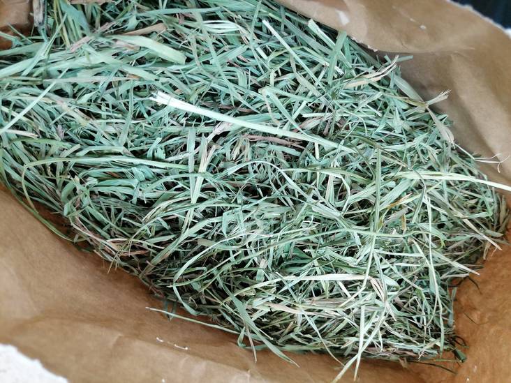 Ruohoheinä kotimainen Tarmo Kosonen - Pieneläinten heinät ja korsirehut - 004254 - 1