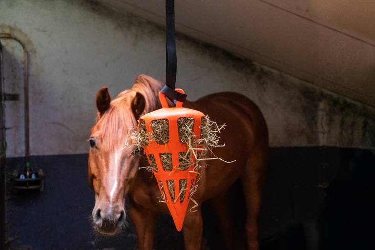 SlowFeeder heinäporkkana 22cm Fun and Flex HayFeeder - Hevosen lelut ja aktivointi - 032084 - 1