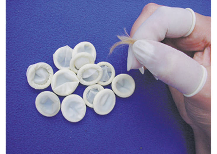 Sormisuojat latex 100kpl valkoiset Show Tech - Koiran nypintä ja trimmaustalkit - 018094 - 1