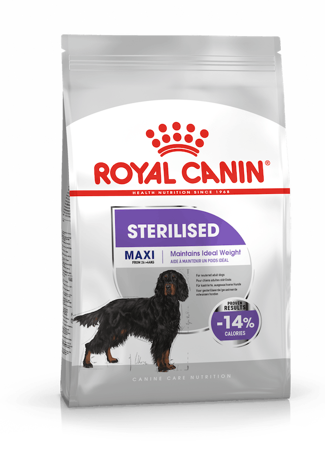 Sterilised Adult MAXI 12kg Royal Canin - Koiran kuivaruoat aikuisille koirille - 018684 - 2
