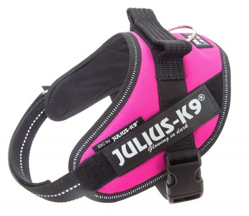 Valjas IDC POWER UV Hot Pink Julius-K9 - Koiran perusvaljaat - 013774 - 1