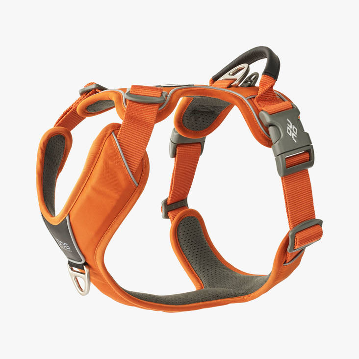 Y-valjas oranssi Comfort Walk Pro 3.0 Dog Copenhagen - Koiran Y-valjaat - 038474 - 1