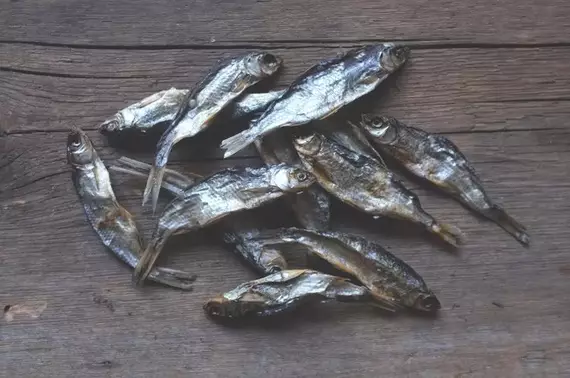 Särkikala kuivattu kotimainen KG Eväkäs - Koiran herkut ja makupalat - 035764 - 1