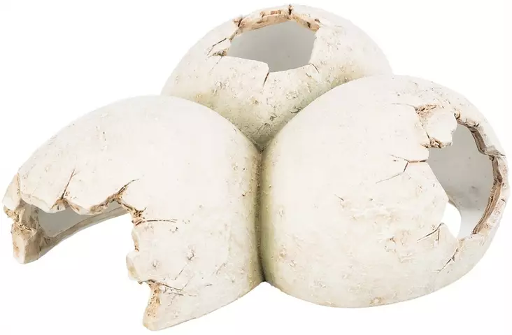 Matelijan luola Muna 15x6x12cm Trixie - Terraarion tarvikkeet ja kuivikkeet - 043224 - 1