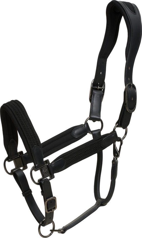 Nahkariimu pehmusteilla Alani musta Catago - Hevosen nahkariimut ja narut - 047994 - 1