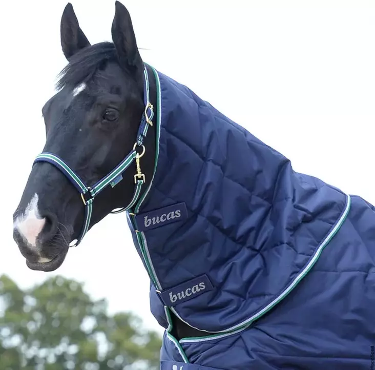 Kaulakappale Quilt navy Bucas - Talliloimien kaulakappaleet ja lisäosat - 049554 - 1