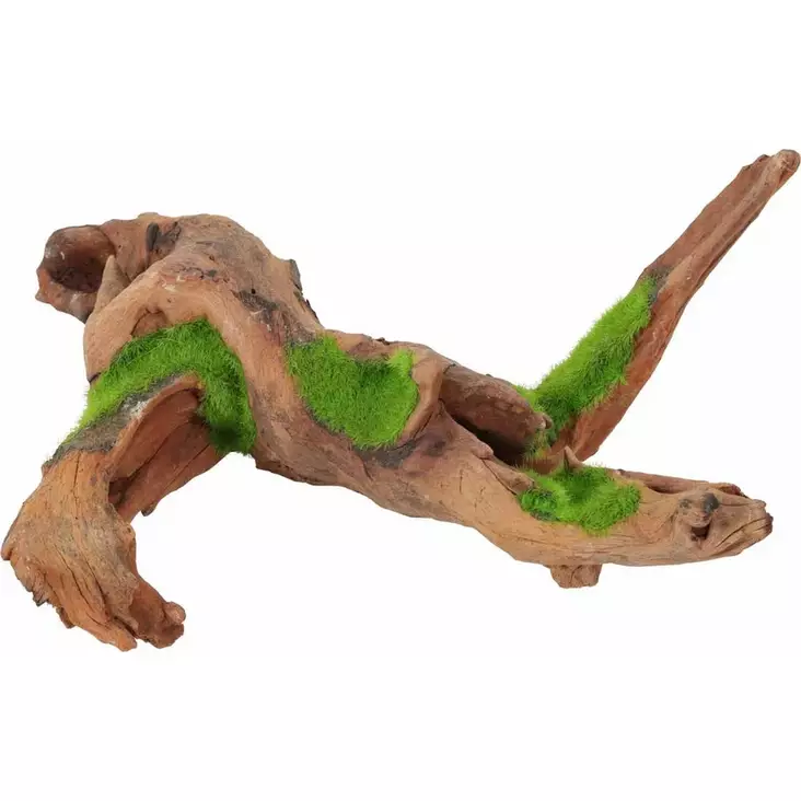 Juurakko siemenillä KiPouss M Zolux - Akvaarion tarvikkeet ja hiekat - 053564 - 1