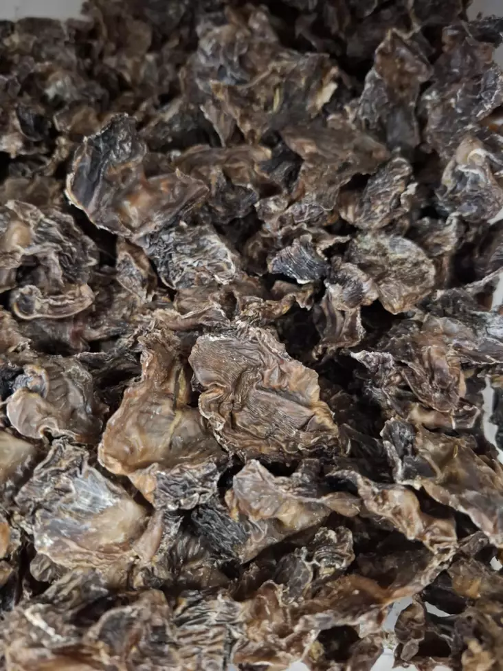 Broilerin kivipiira KILOHINTA kuiva Polar Pet - Koiran herkut ja makupalat - 051444 - 1