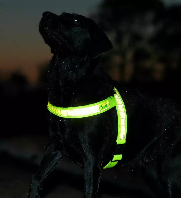 Heijastinvaljaat 4cm leveällä nauhalla Boett - Koiran heijastimet ja turvavalot - 019904 - 1