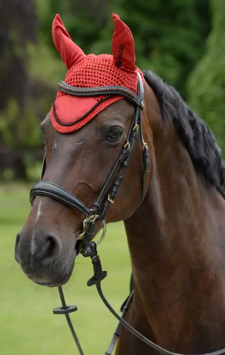 Huppu Sports Line Full punainen Bucas - Ratsuhevosen huput ja korvapallot - 052304 - 1