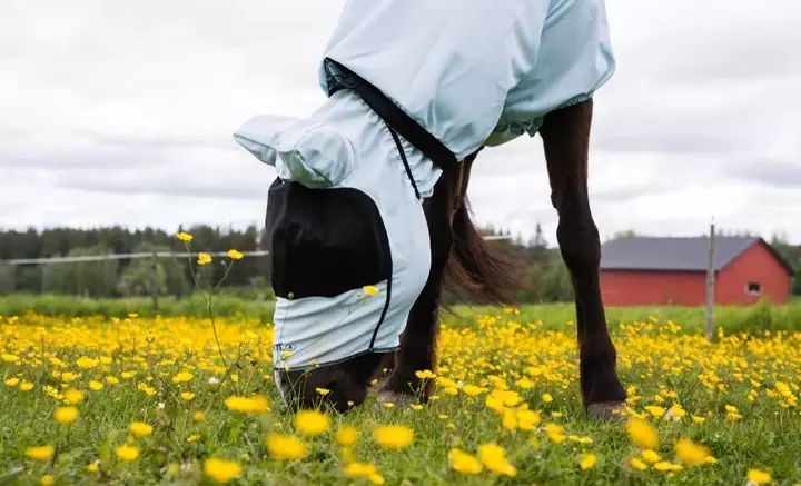 Ihottumahuppu harmaa Boett - Ihottuma ja hyönteisloimien huput - 020084 - 1