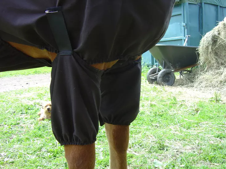 Ihottumaloimeen sopivat suojat etujalkoihin harmaa Boett - Hevosen ihottuma- ja hyönteisloimet - 020054 - 1