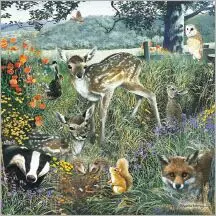 Kortti 13.7x13.7cm Forest Animals - Lahjatavarat - 059134 - 1