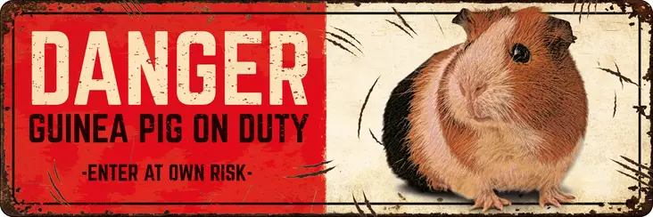 Metallikyltti "Danger Quinea Pig on duty -enter at own risk-" 27x9cm Flamingo - Varoitus- ja huomiokyltit - 059324 - 1