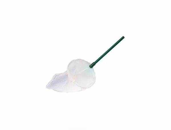 Lintuhaavi 30cm Nobby - Lemmikkilintujen hoitotarvikkeet - 045994 - 1