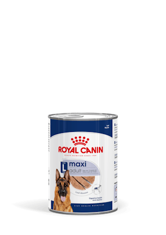 MAXI Adult Loaf 410g mureke Royal Canin - Koiran säilykkeet aikuisille koirille - 047454 - 1