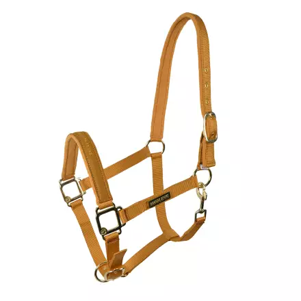 Nylonriimu Equestrian Life kulta Hansbo Sport - Hevosen nylonriimut - 020484 - 1
