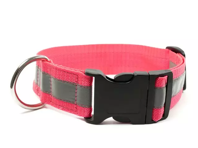 Pikalukkopanta heijastin pinkki Mystique - Dummyt, riistakoulutus, metsästys - 049714 - 1