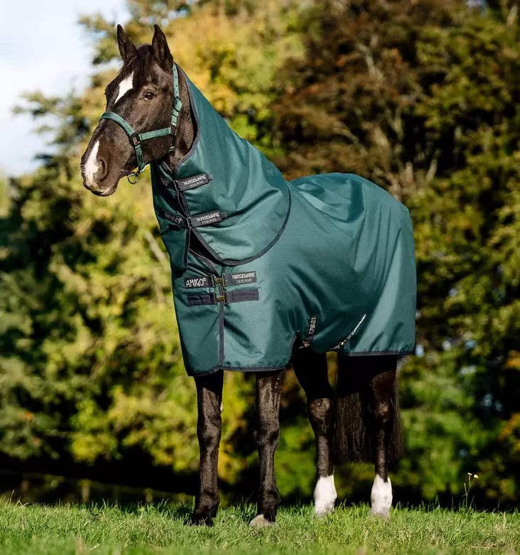 Sadeloimi Amigo Ripstop irrotettavalla kaulakappaleella 900D Plus 0g dynasty green/navy & silver Horseware - Hevosen toppaloimet ulkoiluun - 059384 - 1