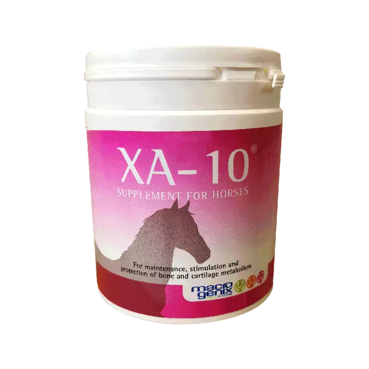 XA-10 600g St Hippolyt - Lisäravinteet nivelille & tukikudoksille - 052494 - 1