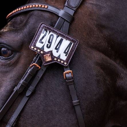 Kilpailunumerotasku Show and Glow Imperial Riding - Ratsastajan asusteet - 037355 - 2