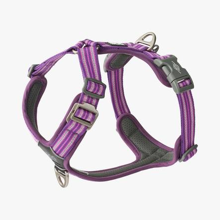 Y-valjas Comfort Walk Air Purple Passion v.3.0 Dog Copenhagen - Koiran Y-valjaat - 038065 - 1