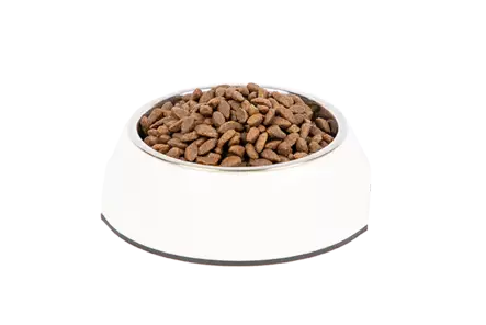 Indoor Adult Salmon PrimaCat - Kissan kuivaruoat pennut ja kasvatus - 056335 - 2