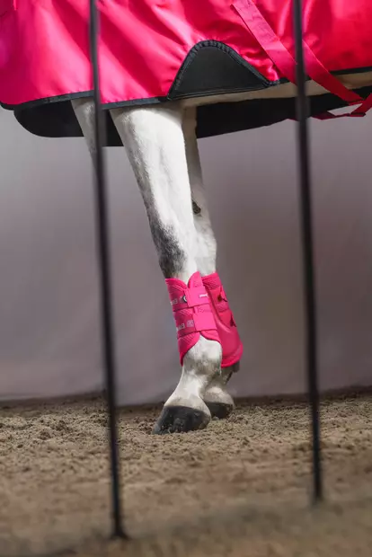 Jännesuojat Mesh Tendon Boots lipstick Eskadron - Hevosen vuohis- ja hivutussuojat - 059515 - 2