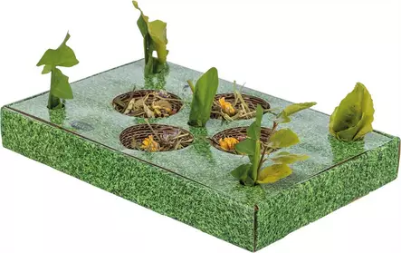 Jyrsijän pahvinen Snack Plate 28x3,8x18cm Trixie - Pieneläinten lelut ja puuhasteltavat - 054675 - 1