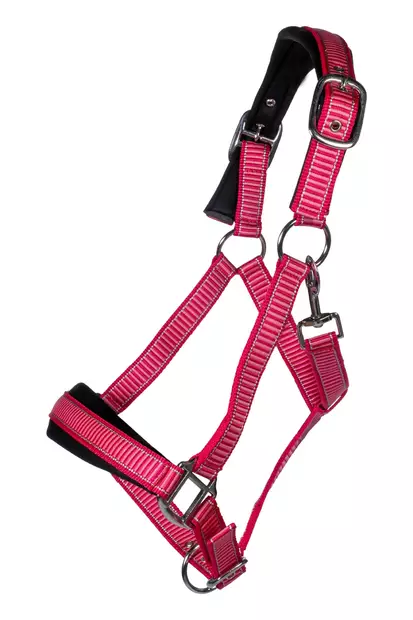 Nylonriimusetti Lilly hyönteishapsuilla pinkki HKM-sports - Hevosen nylonriimut - 055925 - 2