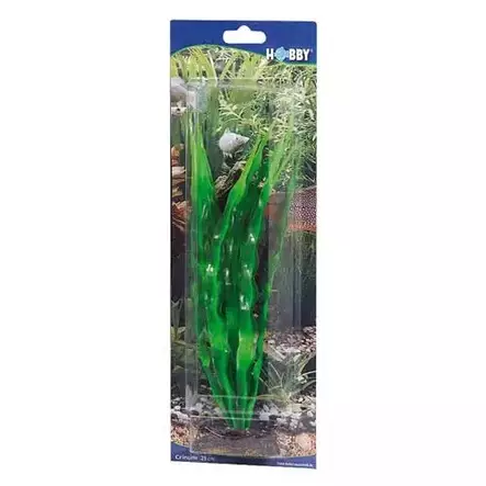 Muovikasvi Crinum 29cm Hobby - Akvaarion tarvikkeet ja hiekat - 059155 - 2
