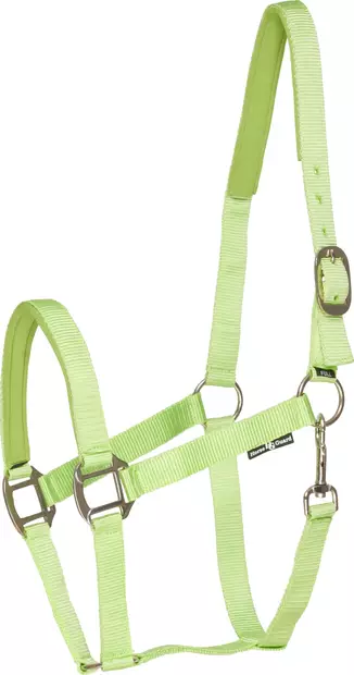 Nylonriimu lime HorseGuard - Hevosen nylonriimut - 056205 - 1