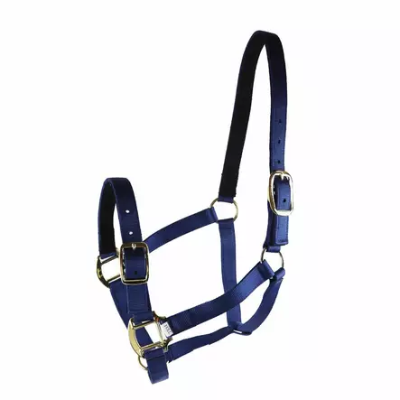 Nylonriimu turvalta avattava XFULL tummansininen Equitare Pro - Hevosen nylonriimut - 056445 - 1