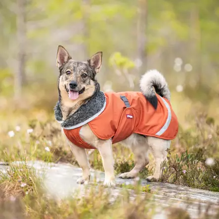 PerusPomppa valjasaukolla Rust - Koiran manttelit - 054795 - 2