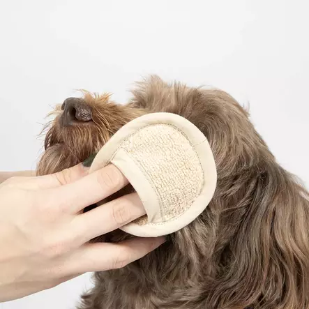 Pesu- / puhdistussetti kinnas + 4 lappua puuvillaa Japandi beig Noir Ebi - Koiran puhdistusliinat ja kuivapesu - 054945 - 2