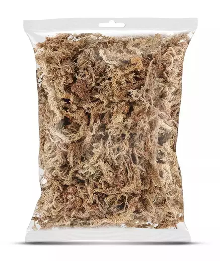 Rahkasammal Sphagnum 25g Hapet - Terraarion tarvikkeet ja kuivikkeet - 057865 - 1