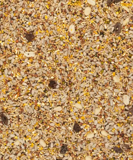 Ulkolintujen siemenseos kuoreton 4 Seasons Blend Clean Garden Versele Laga - Villieläinten ja -lintujen ruokinta - 055165 - 2