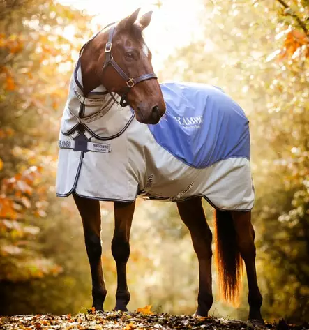 Ulkoloimi Rambo Autumn Series (0g) liner 100g navy-grey Horseware - Hevosen vuorettomat ulkoloimet - 057735 - 2