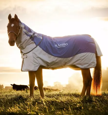 Ulkoloimi Rambo Autumn Series (0g) liner 100g navy-grey Horseware - Hevosen vuorettomat ulkoloimet - 057735 - 1