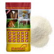 Fohlen-Milch 20kg maidonkorvike Marstall - Lisäravinteet varsat ja siitoshevoset - 034065 - 1