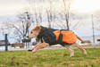 Lämpötakki Glacier 2.0 Oranssi Non-Stop Dogwear - Koiran manttelit - 027945 - 1