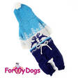 Neulehaalari Porot sininen For My Dogs - Koiran haalarit - 026395 - 2
