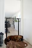 Pingotettava portti Bonnie musta 105cm DogSpace - Koiraportit - 036245 - 3