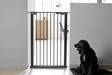 Pingotettava portti Bonnie musta 105cm DogSpace - Koiraportit - 036245 - 2