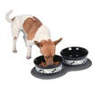 Ruokailualusta "8" 45cm kumi harm Trixie - Koiran ruokinta-alustat - 011285 - 3